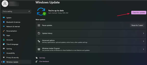 怎么檢查Windows11中的新更新？
