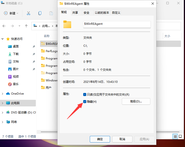Win11怎么查看隱藏文件和文件夾？Win11顯示隱藏文件的操作步驟