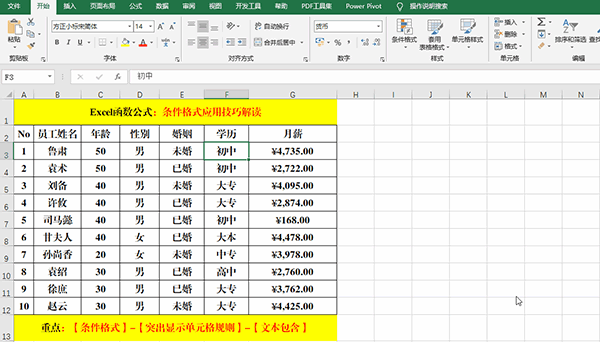 Excel 2019中使用條件格式分析數(shù)據(jù)的7類方法教學