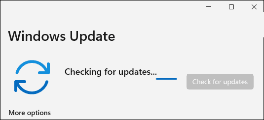 如何手動更新Windows11？手動更新Windows11方法教程