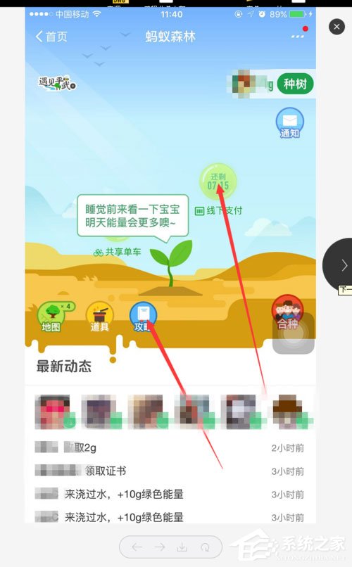 支付寶螞蟻森林能量怎么獲??？