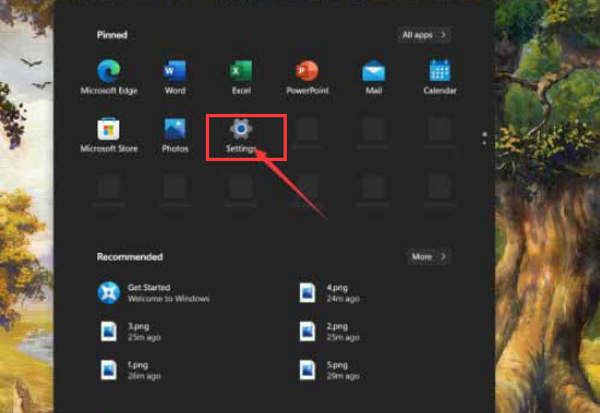 Win11怎么暫停系統更新？Win11暫停更新教程