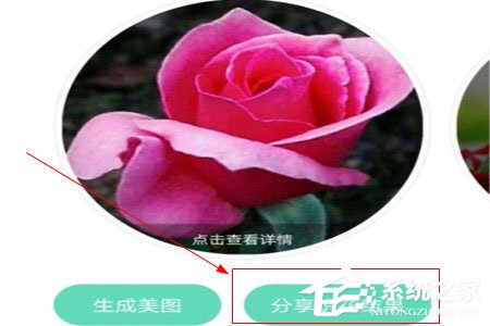 形色識(shí)花怎么分享到微信？形色識(shí)花怎么分享到微信的方法
