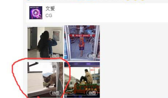 網(wǎng)易云音樂(lè)gif動(dòng)圖怎么下載保存?下載保存gif動(dòng)圖步驟分享