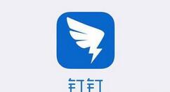釘釘如何查看企業(yè)榮譽(yù)墻？查看企業(yè)榮譽(yù)墻的方法介紹