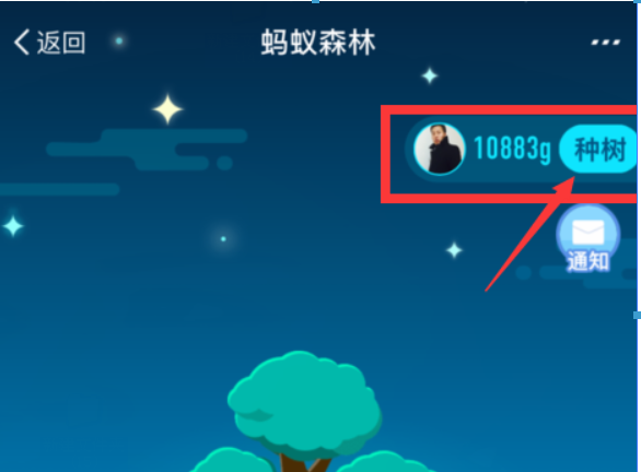 支付寶螞蟻森林環保證書如何領取？螞蟻森林環保證書領取攻略介紹！