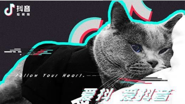 成人版抖音軟件叫什么？成人版抖音和抖音有什么區別