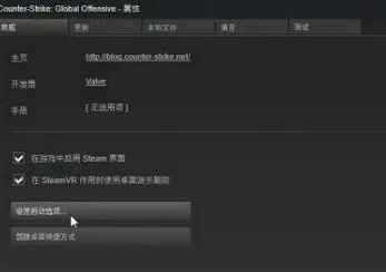 win10玩csgo怎么優(yōu)化參數(shù)設(shè)置