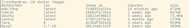 IDEA連接遠程服務(wù)器Docker部署Spring Boot項目的詳細教程