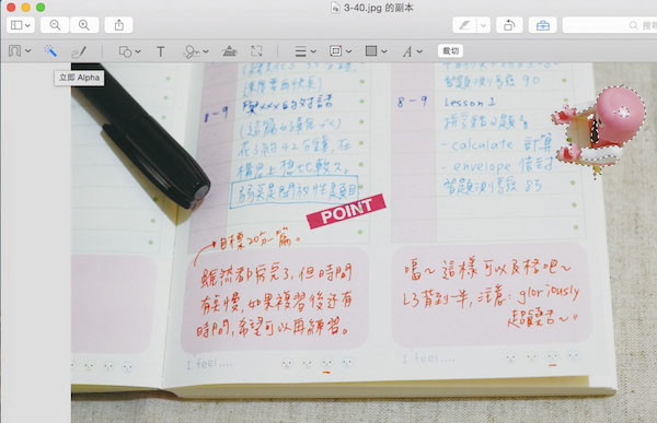 Mac OS的瀏覽功能有什么用？Mac預覽功能中的一些實用技巧