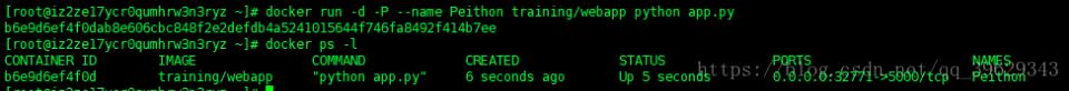 Docker 通過端口來連接一個容器的實現(xiàn)