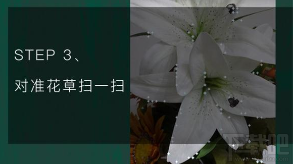 QQ瀏覽器識(shí)你所見是什么?QQ瀏覽器識(shí)你所見怎么玩?