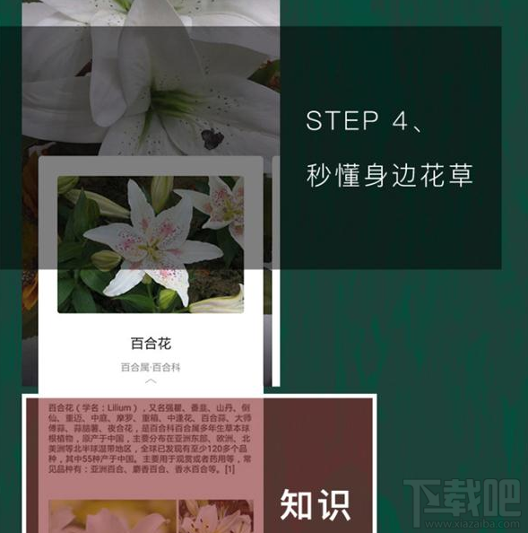 QQ瀏覽器識(shí)你所見是什么?QQ瀏覽器識(shí)你所見怎么玩?