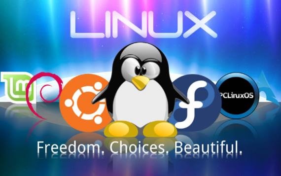 為什么高手離不開Linux系統(tǒng)？